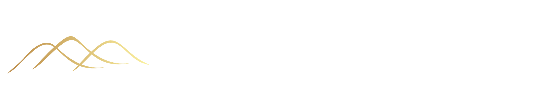 Synergy AI logo